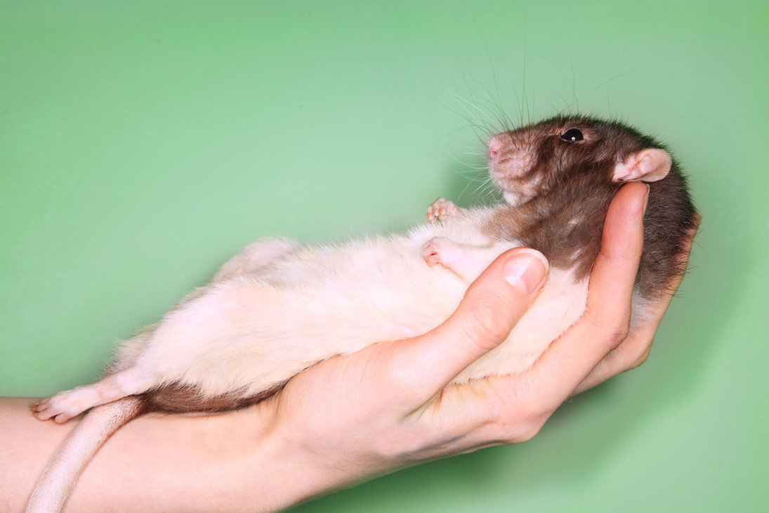 фото: яндекс.uz