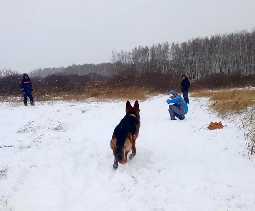 Приучение собаки к обозначению человека в нестандартном положении тела