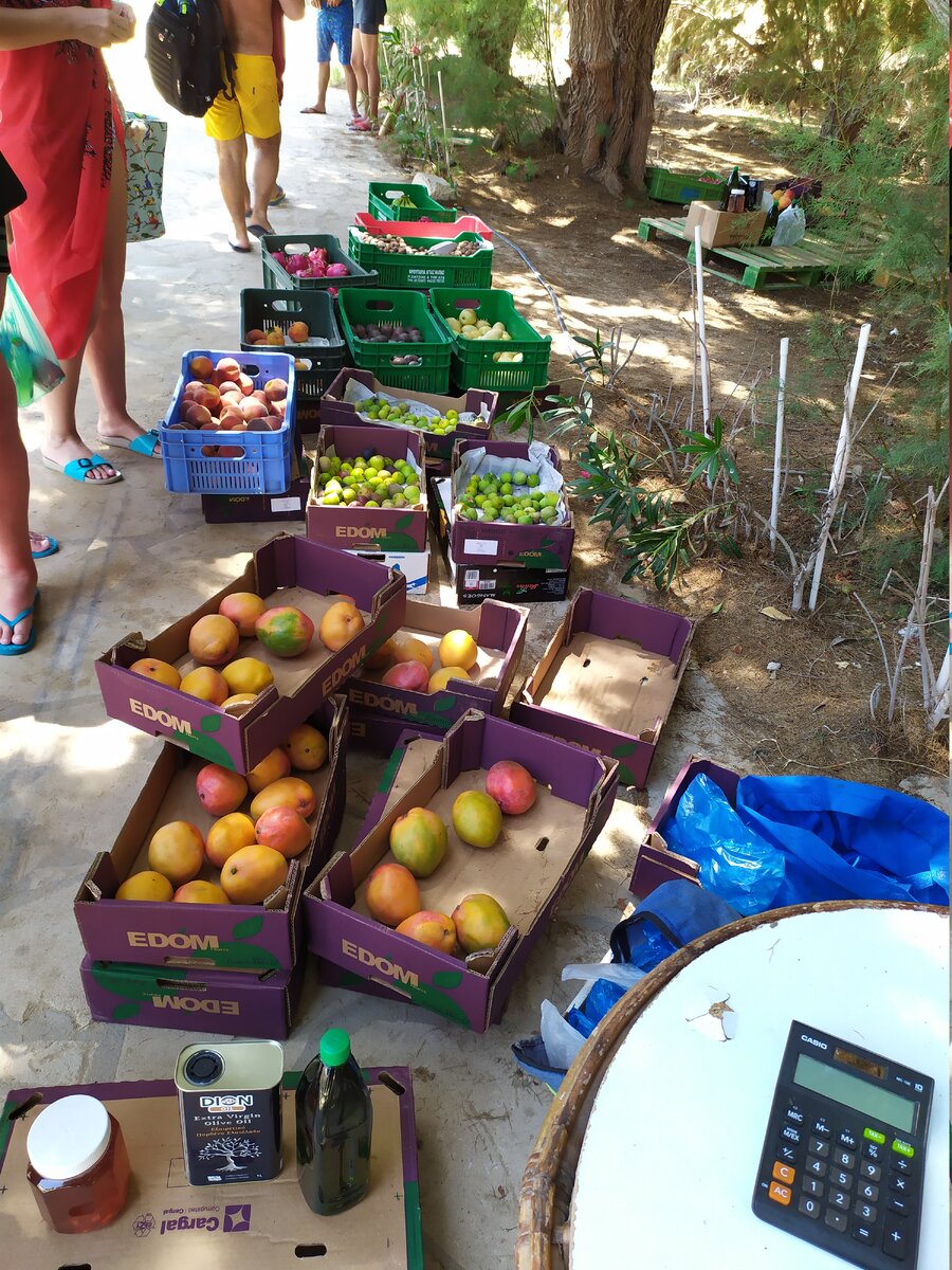 Ассортимент.