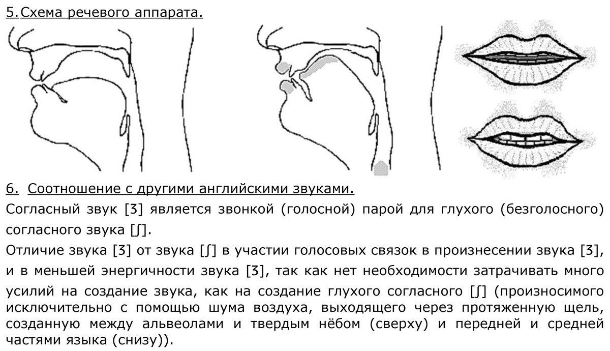 Положение языка в норме. Положение языка при ш. Язык в домике положение. Положение языка при звуке ы. Позиция языка при пении.