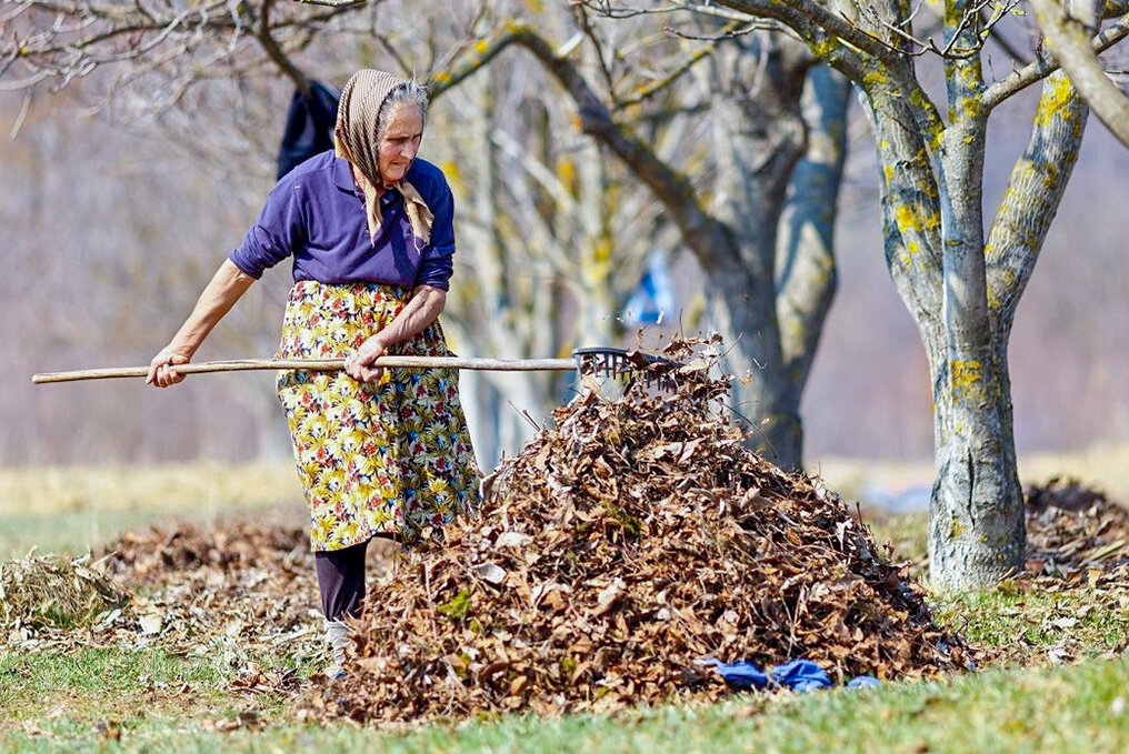 Бабушка собирает листья. Исходник: https://yandex.ru/images/