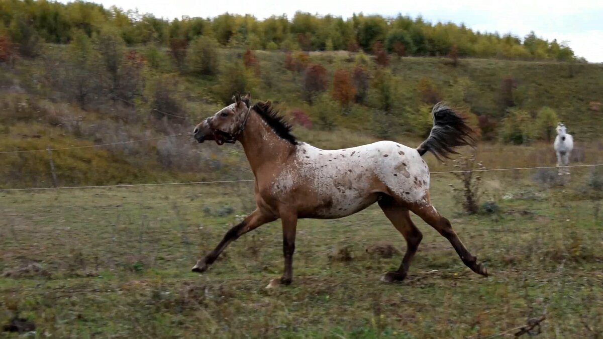 Усадьба белая дзен