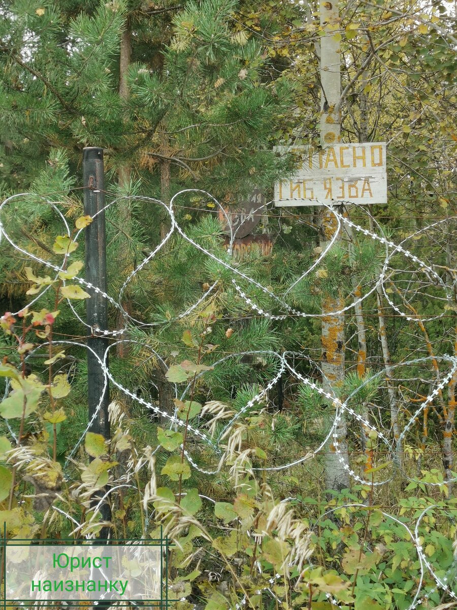 Фото из личного архива автора