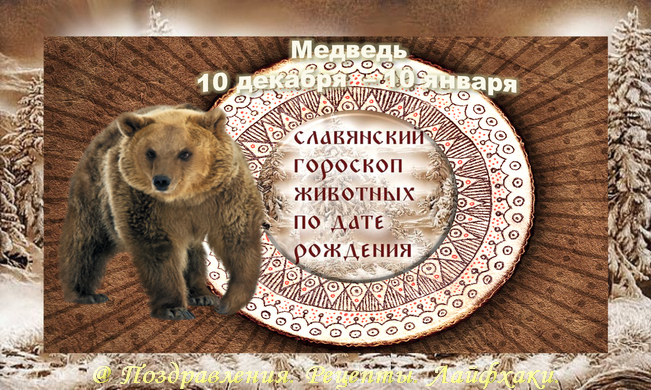 По славянскому календарю какой символ года
