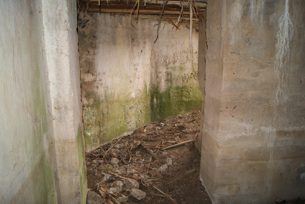 Немецкое пехотное убежище у д. Миничи.