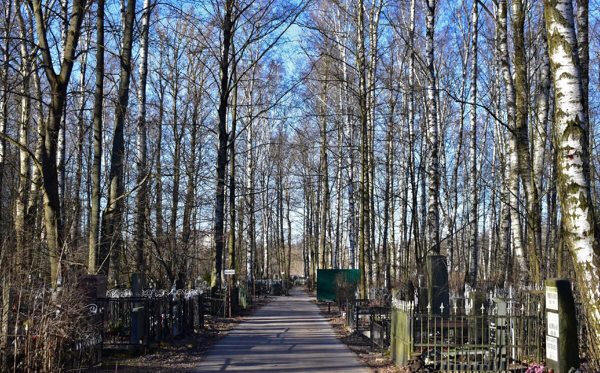 Богословское кладбище фото