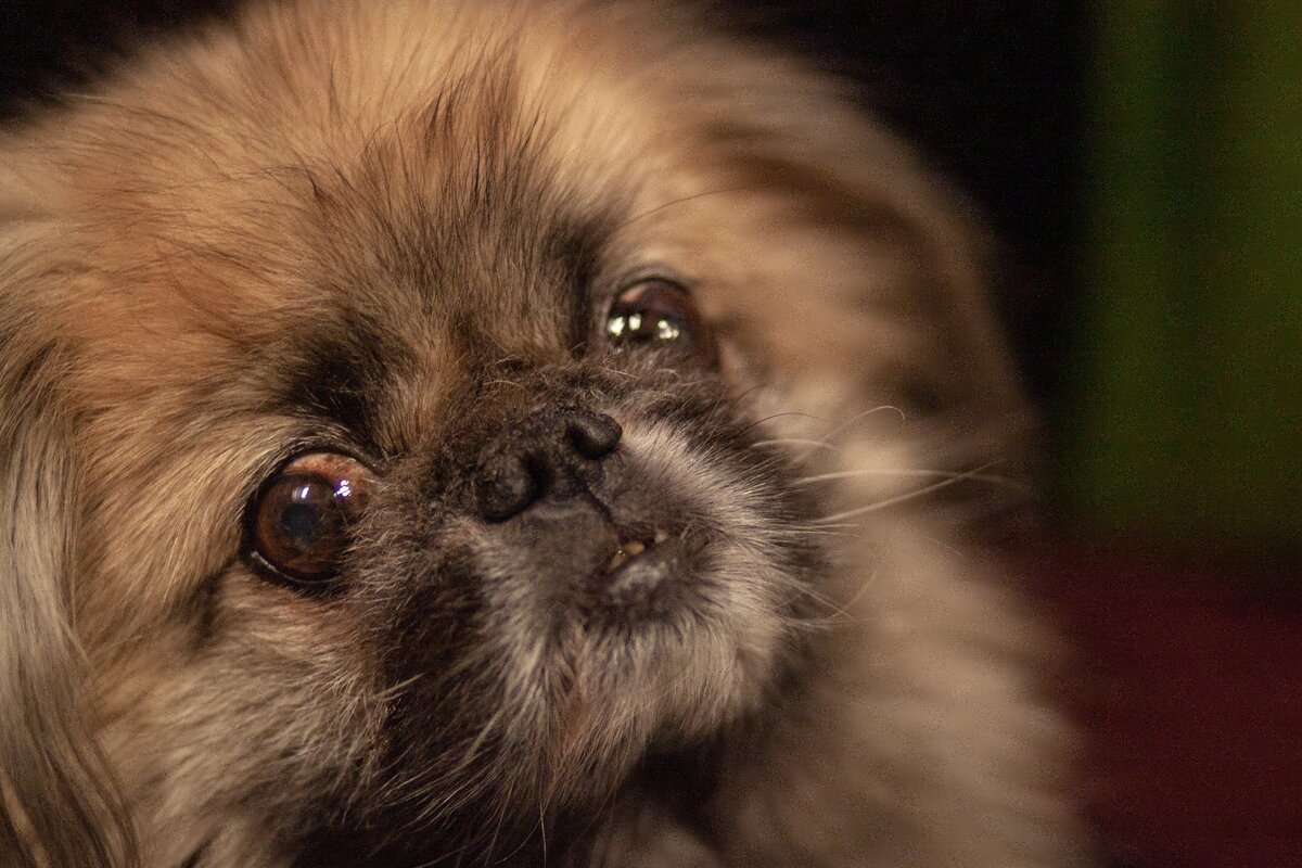 Эх, всегда бы соседи в поезде были такие милые и беспроблемные...