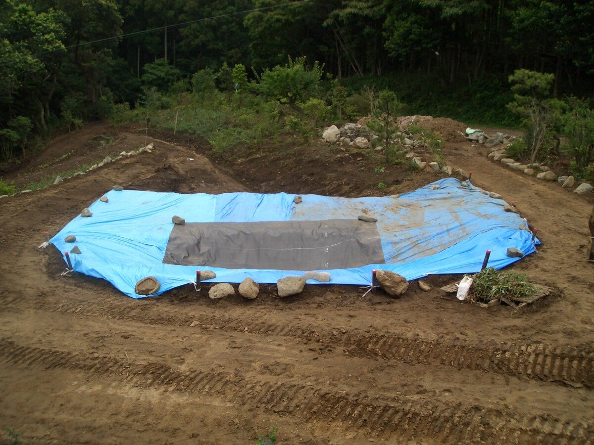 Фото из открытых источников