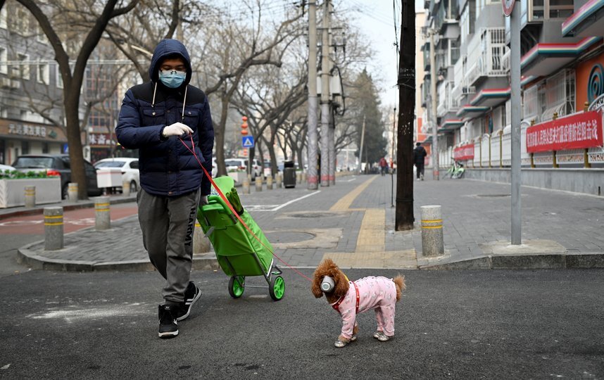 Источник: https://yandex.ru/images/