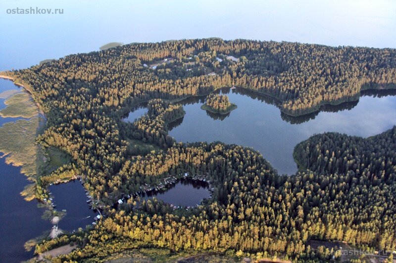 Городомля на селигере остров фото