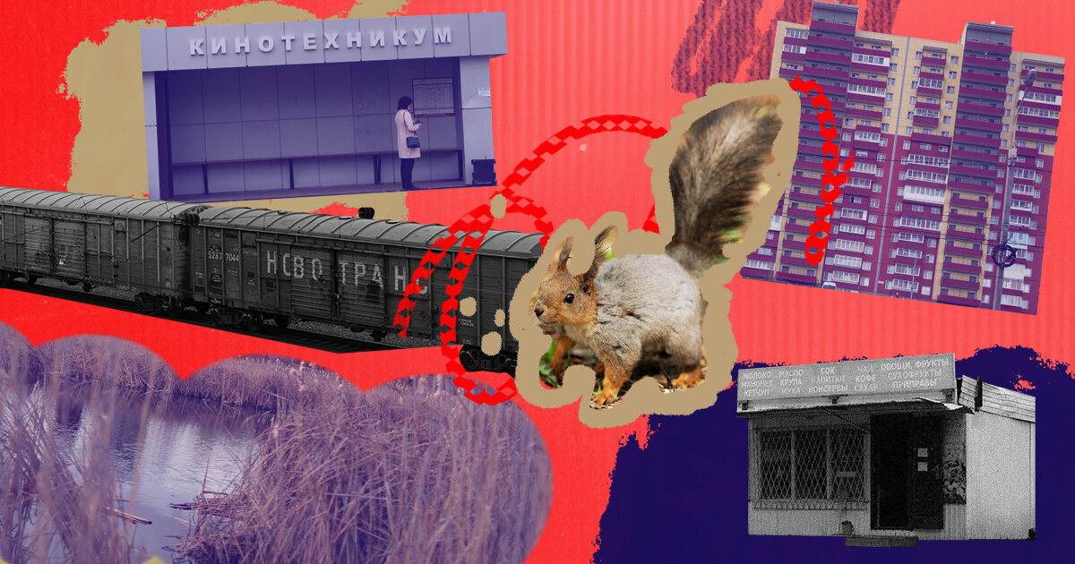 Коллаж: Евгения Власова, фото: Алена Шатуева 
