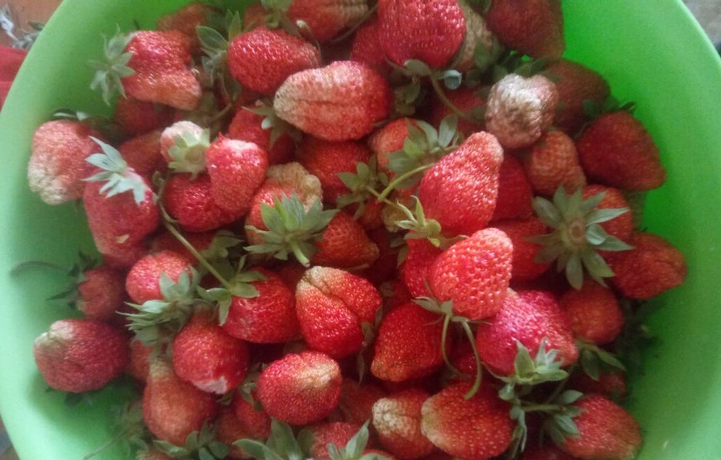 Картинка из личного архива