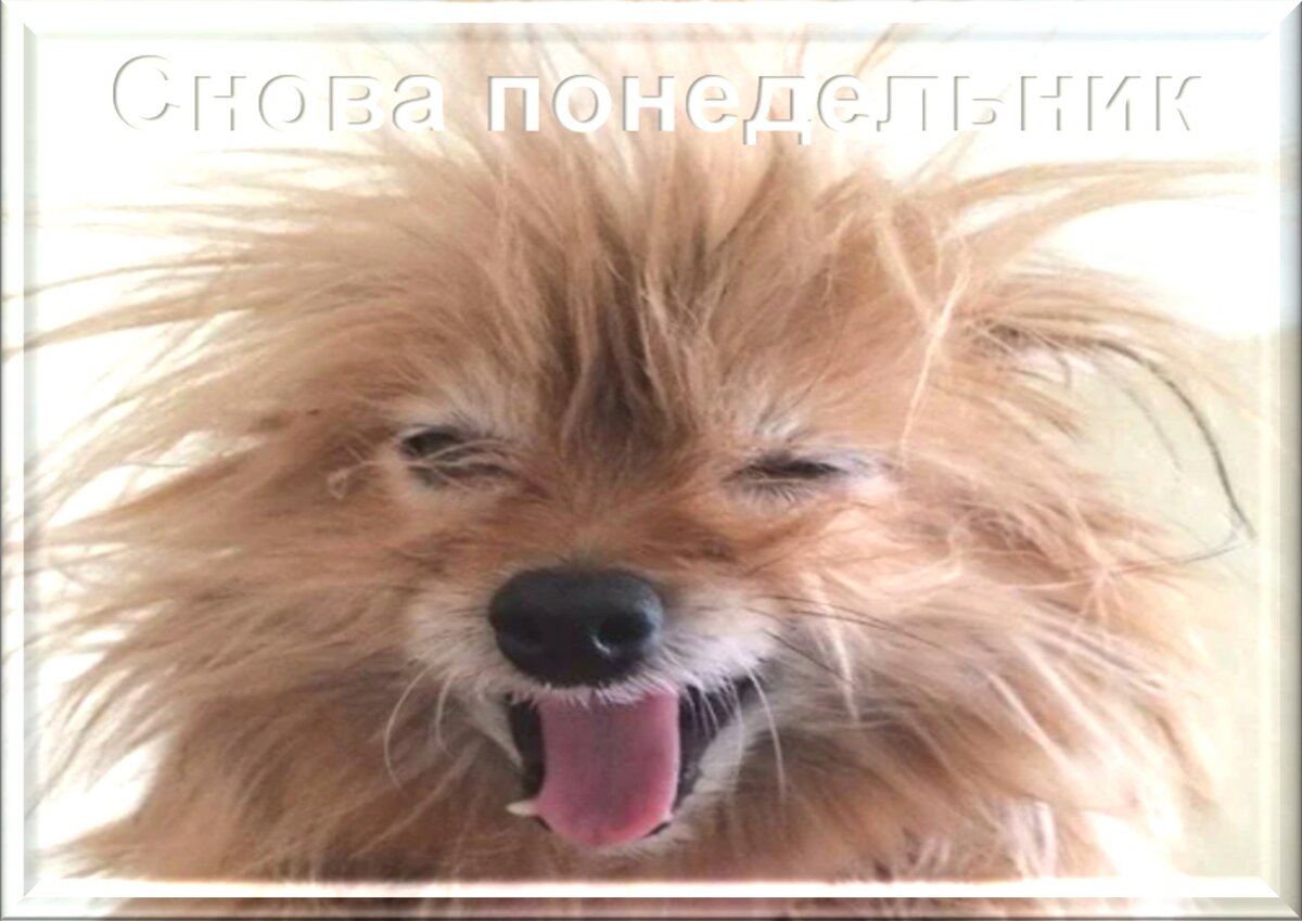 Встречаем новый день