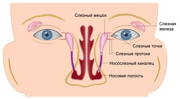 1. Острое респираторное заболевание