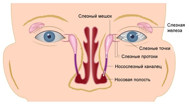 Опухли веки – что делать?