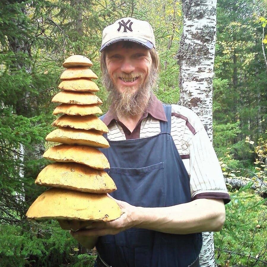 Тони Грибабас - Александр нагорных