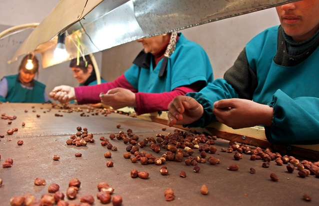 Фото: "Ореховод"