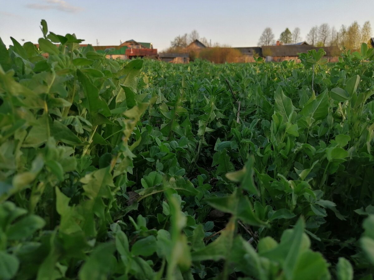 Идиоты как сорняки)))))))))))))))))))))))))))))))))))))))))))))))))