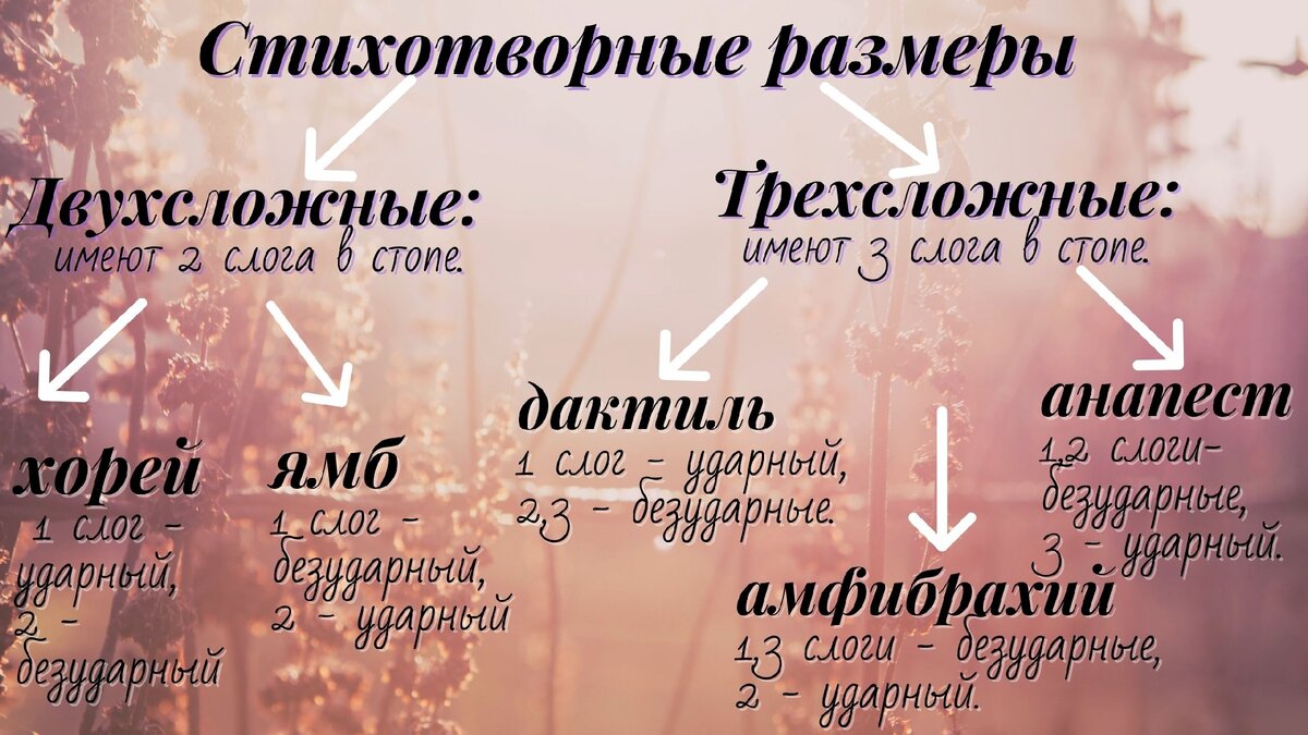 Четырехстопный ямб: что это такое, примеры из литературы и как его определить [Литература literature]