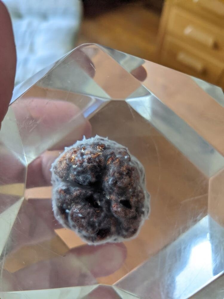 Источник: https://www.reddit.com/r/mildlyinteresting/comments/o03sh1/30_years_ago_my_grandfather_encased_this_meatball/