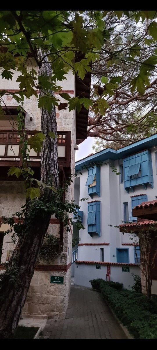 Отель разбит на улицы, каждая улица имеет название-цвет, это голубая улица!