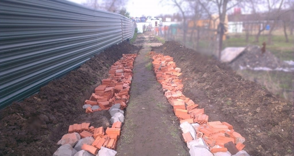 Фото из домашнего архива. Весна 2016 г. Размещение фото без согласия автора - запрещено
