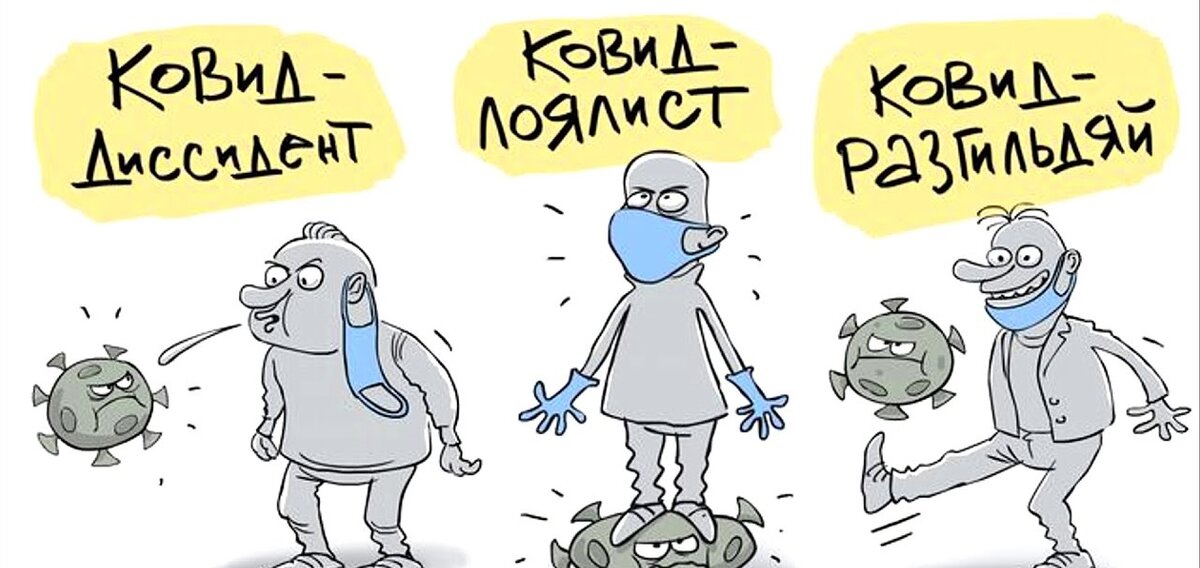 картинка из интернета. 