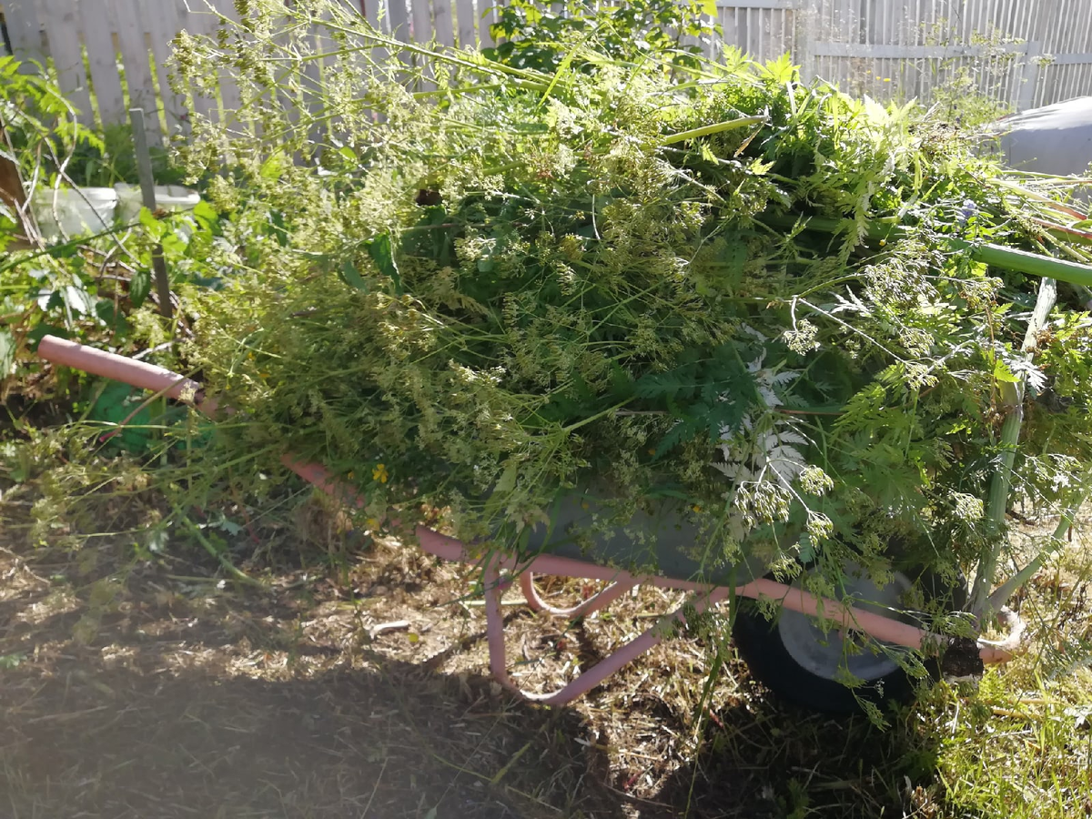 Во сколько, аж тачка просела... Фото автора.