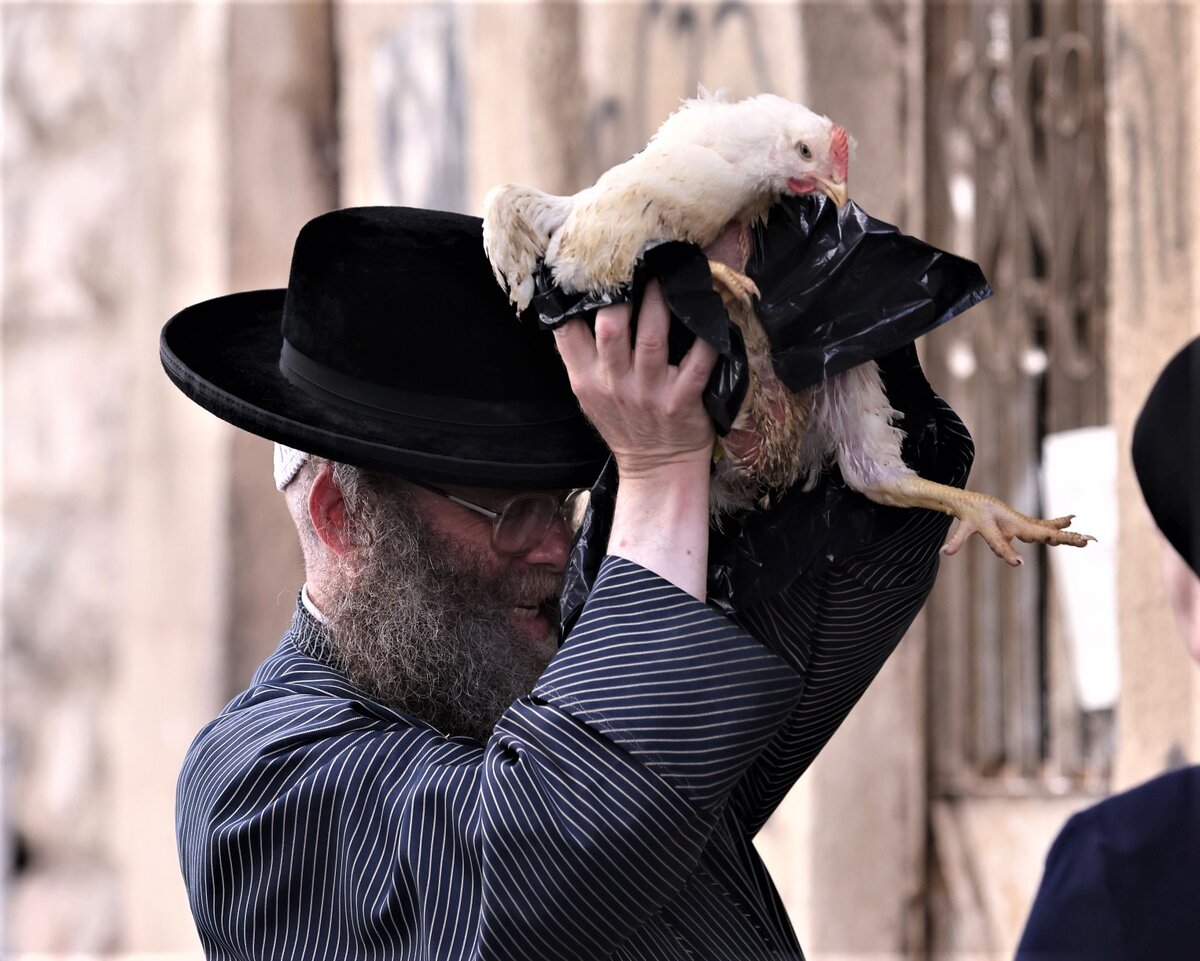 Иудей проводят ритуал капарот.
