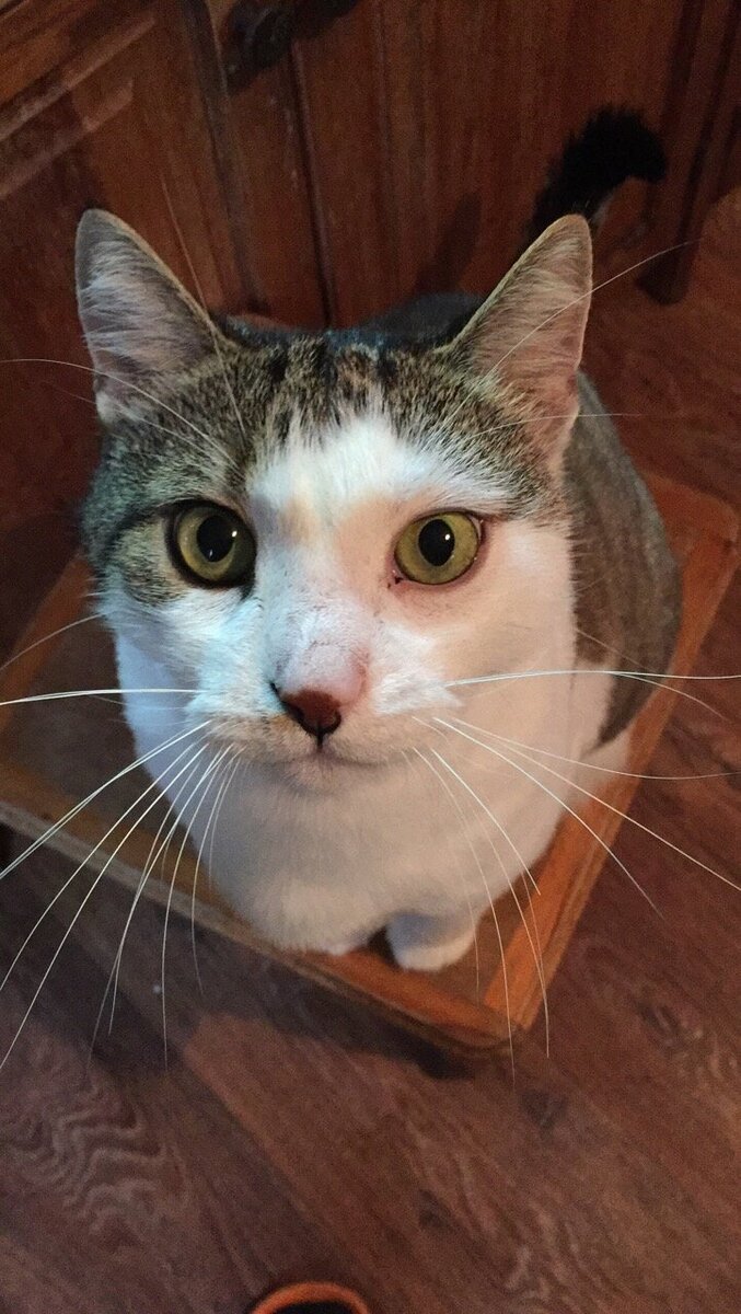 Вася в 2020 году