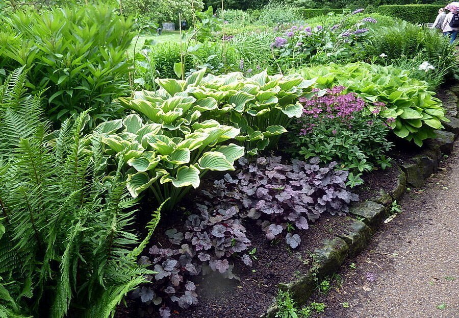 Фотография взята из источника www.florapassionis.com 