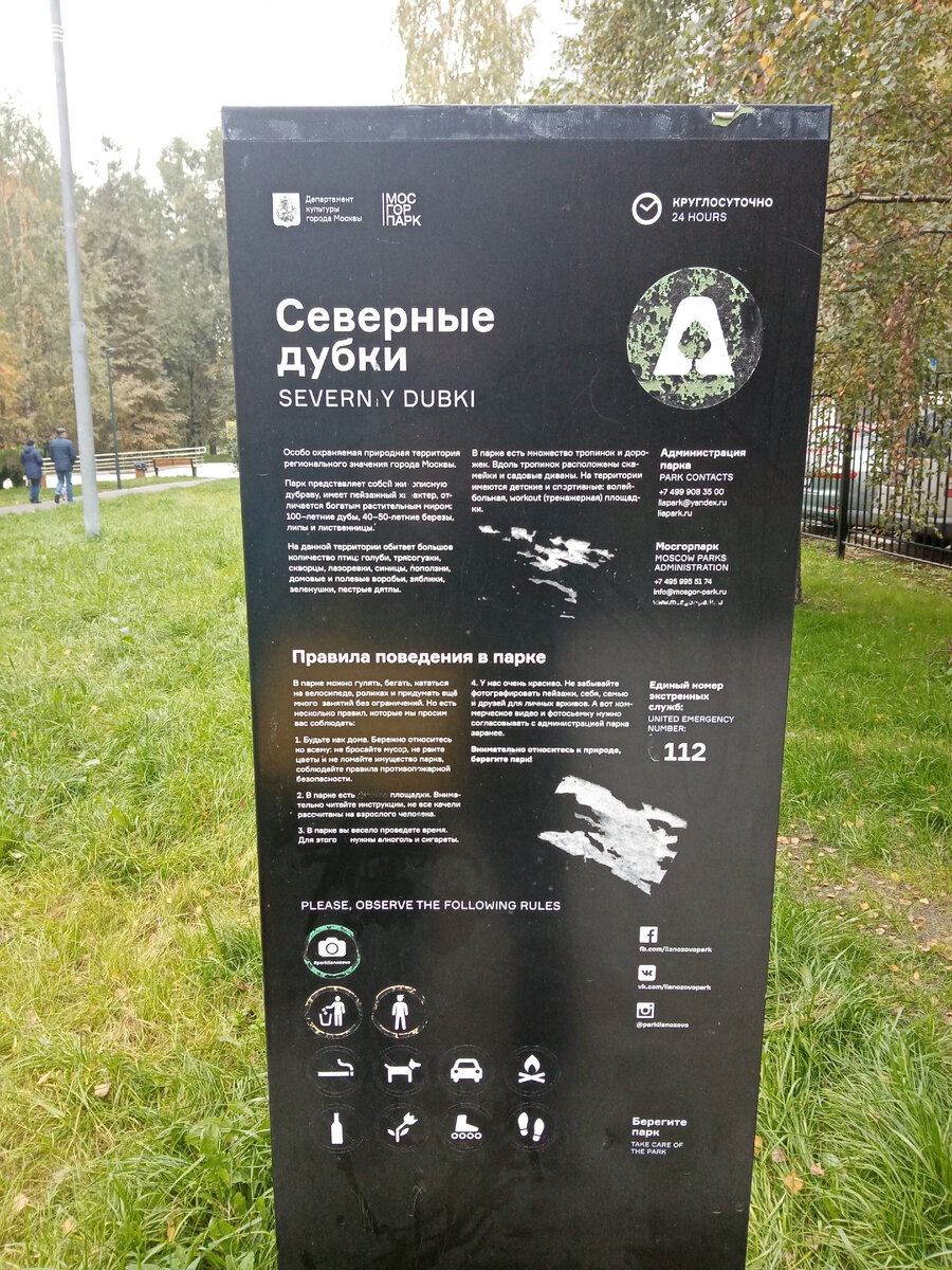 Личное фото автора.
