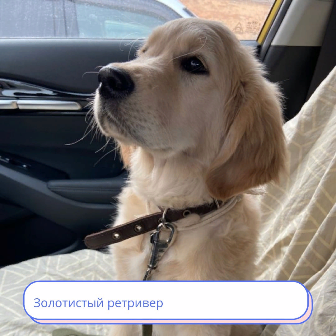 фотосток