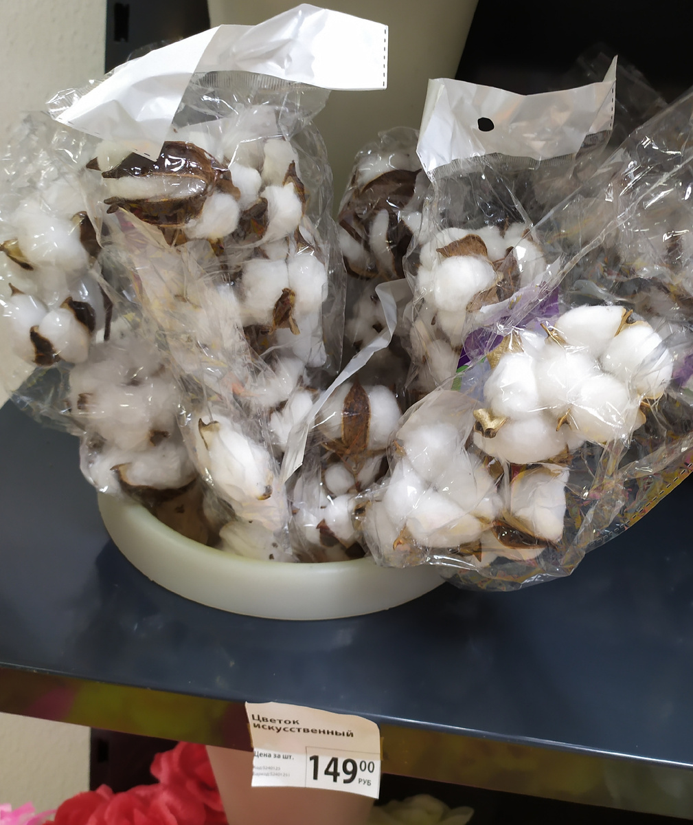 Фото автора канала топай и лопай