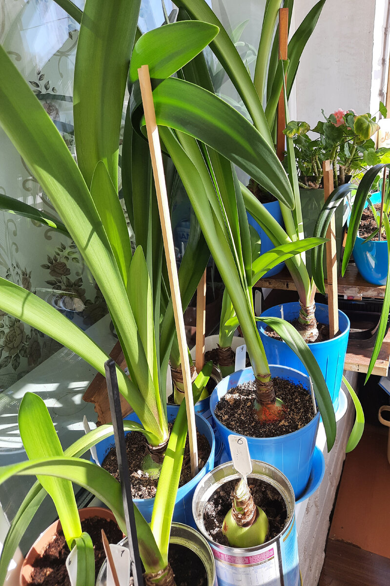 фото из личного архива .