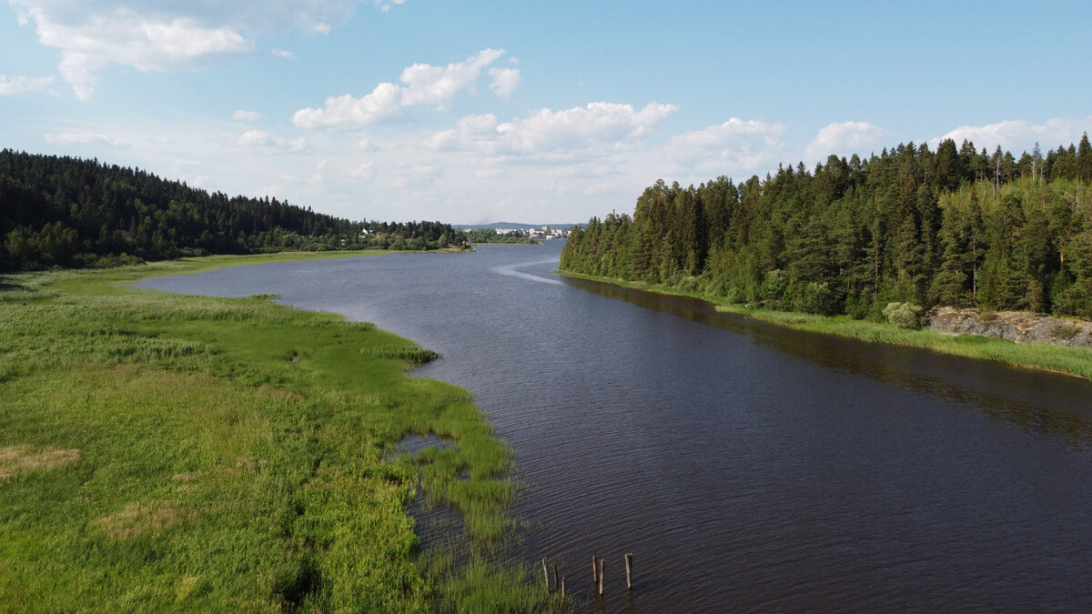 Путники перехожие на дзене