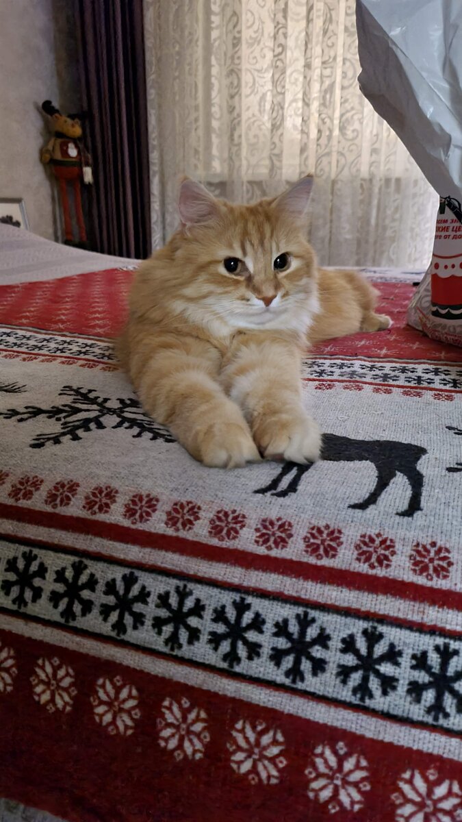 Прилег отдохнуть