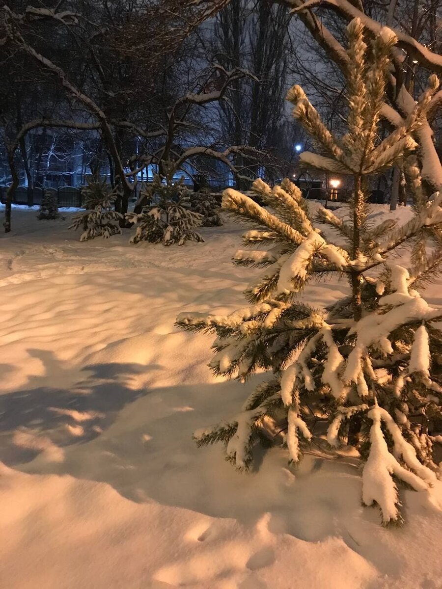 За окном такая чудесная зима, именно о такой я мечтала, когда возвращалась в Россию
