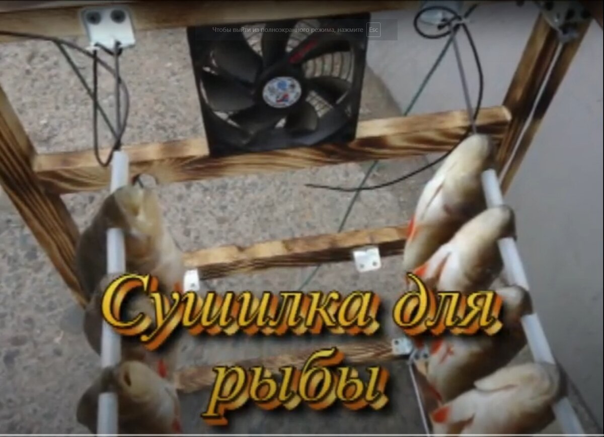 Сушилка для рыбы своими руками