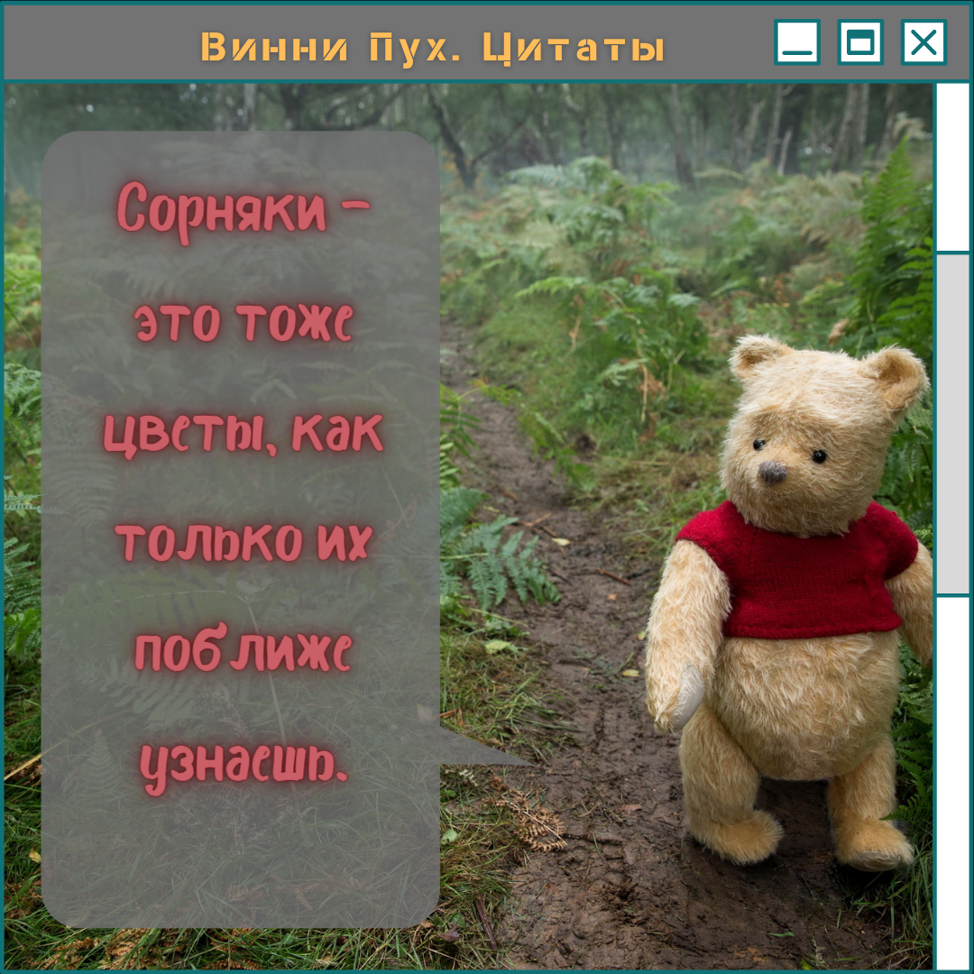 Винни Пух. Не по-детски мудрые цитаты. | Мысли вслух | Дзен