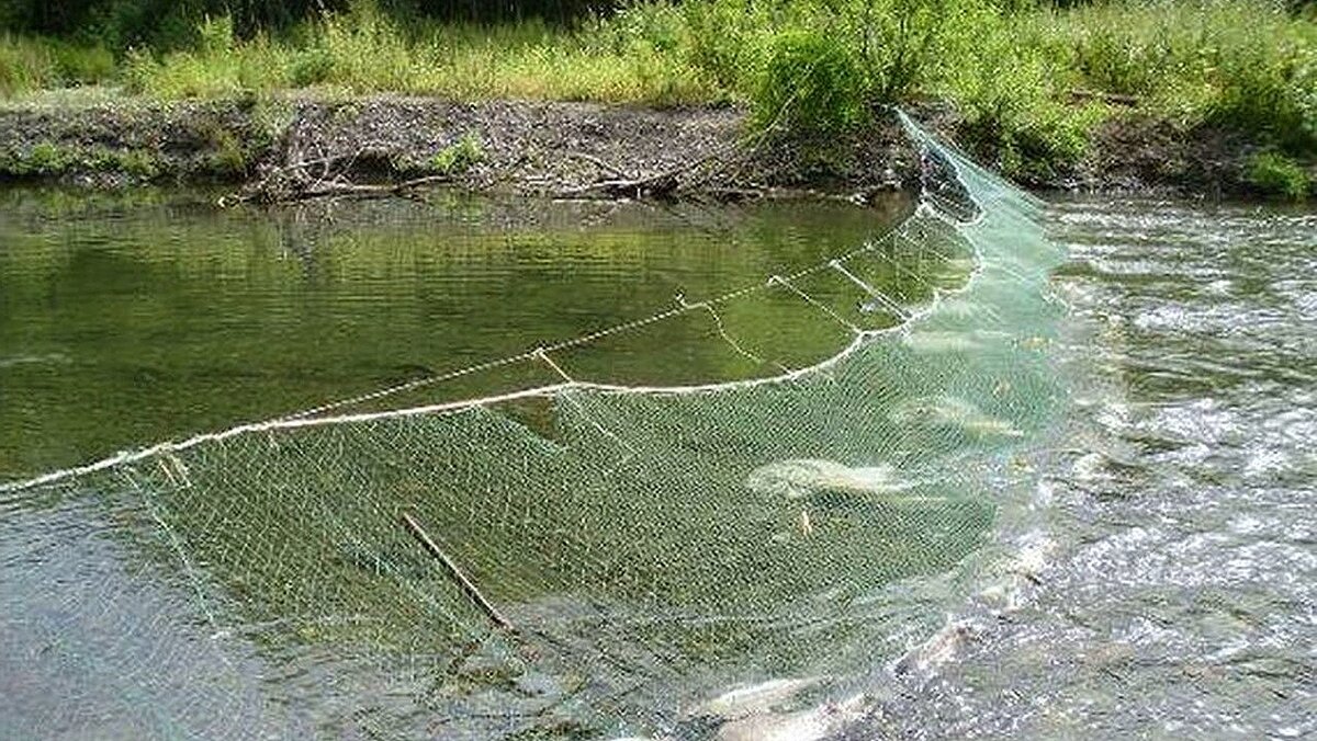 Ловля рыбы руками