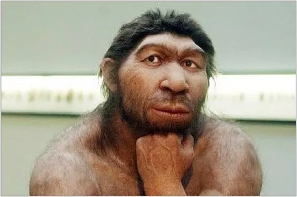 Кто умнее: неандертальцы или кроманьонцы (все не так очевидно) | Ваш Урок |  Дзен
