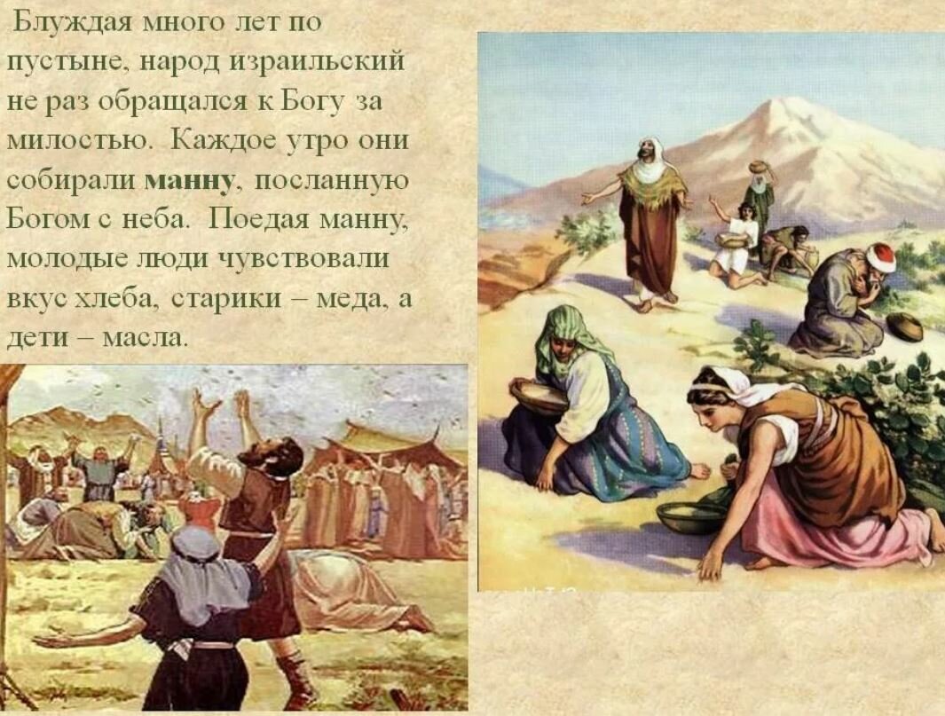 Как возник фразеологизм манна небесная небольшое. Моисей и Манна Небесная. Ропот израильтян в пустыне. Моисей в пустыне 40 лет. Странствие евреев по пустыне.