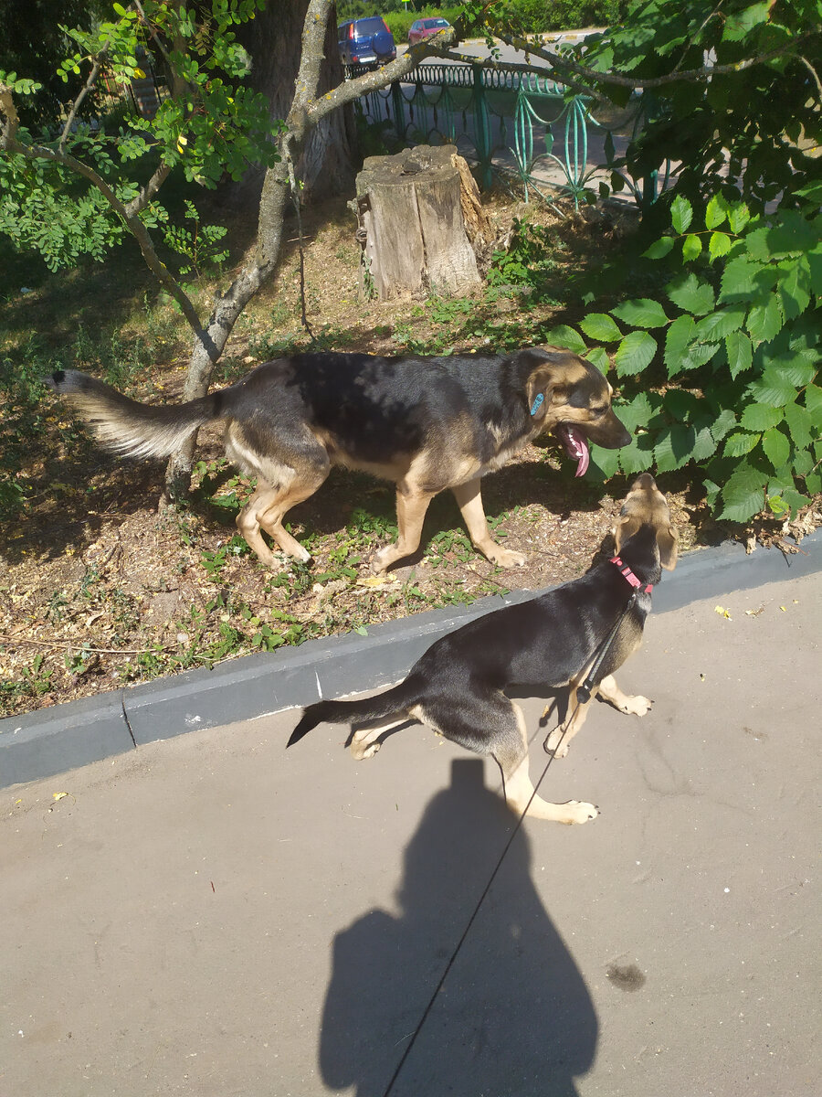 С нашей Ладой