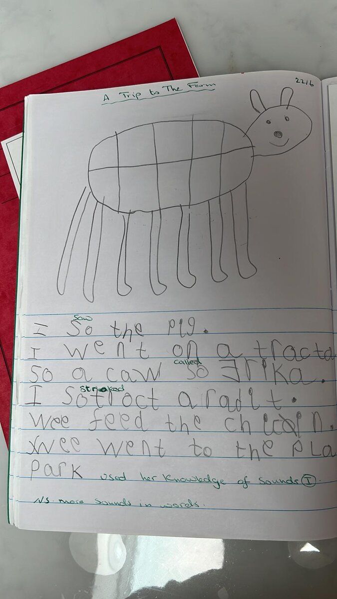 Это прошлогодние тетради, когда Эрика училась в подготовительном классе. Учитель проверяет зелёной пастой.