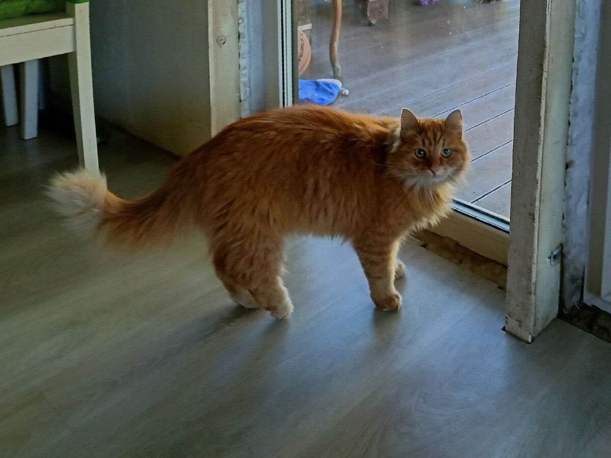 И нога такая болтается, блямс-блямс