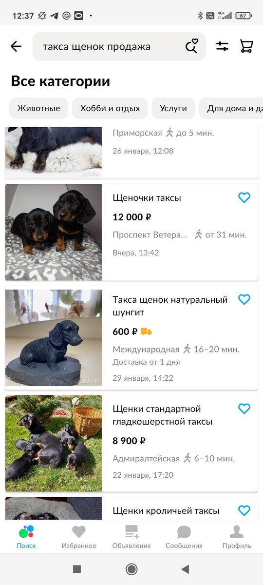 Фото из интернета.