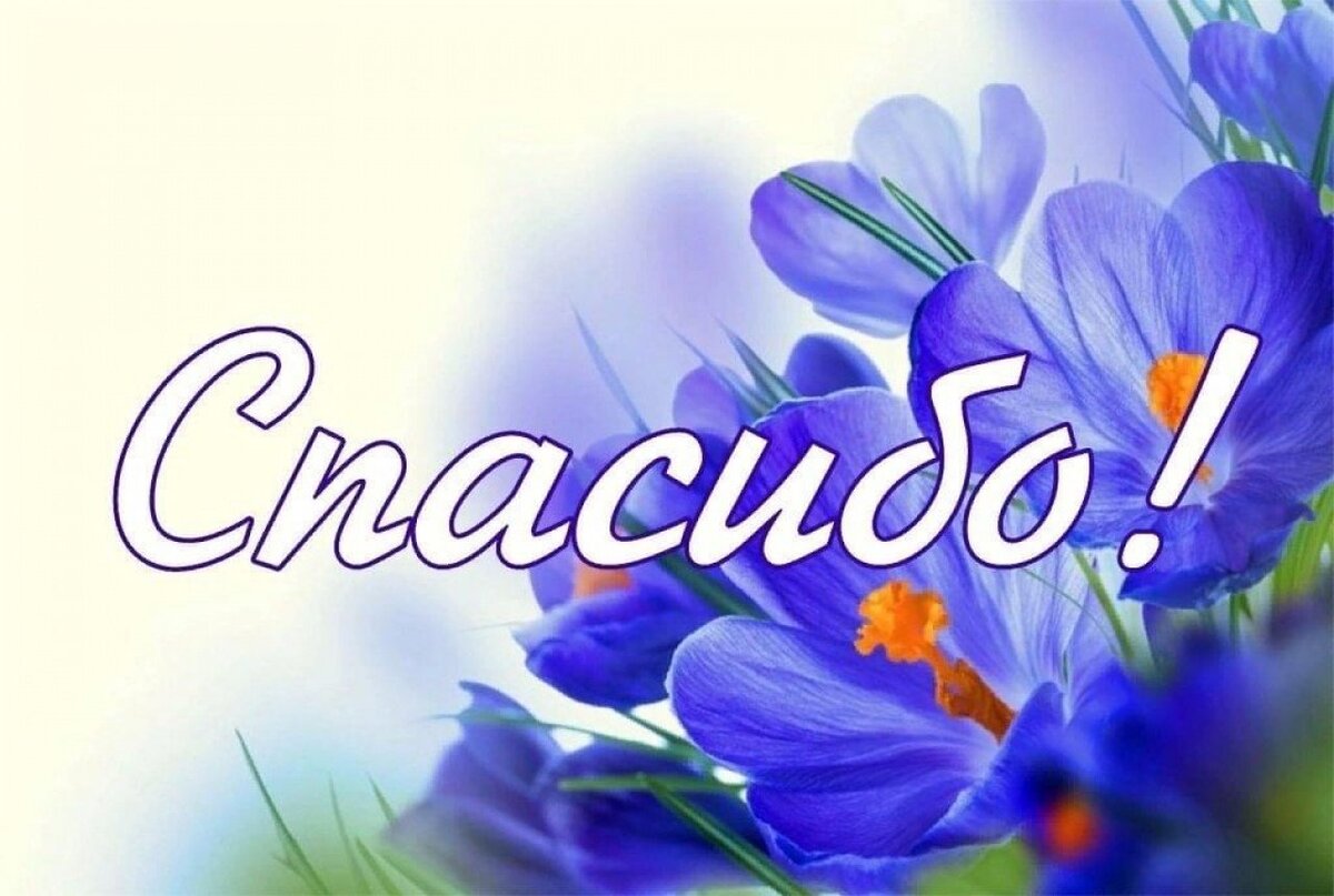 Картинка взята из общего доступа сети /Интернет.