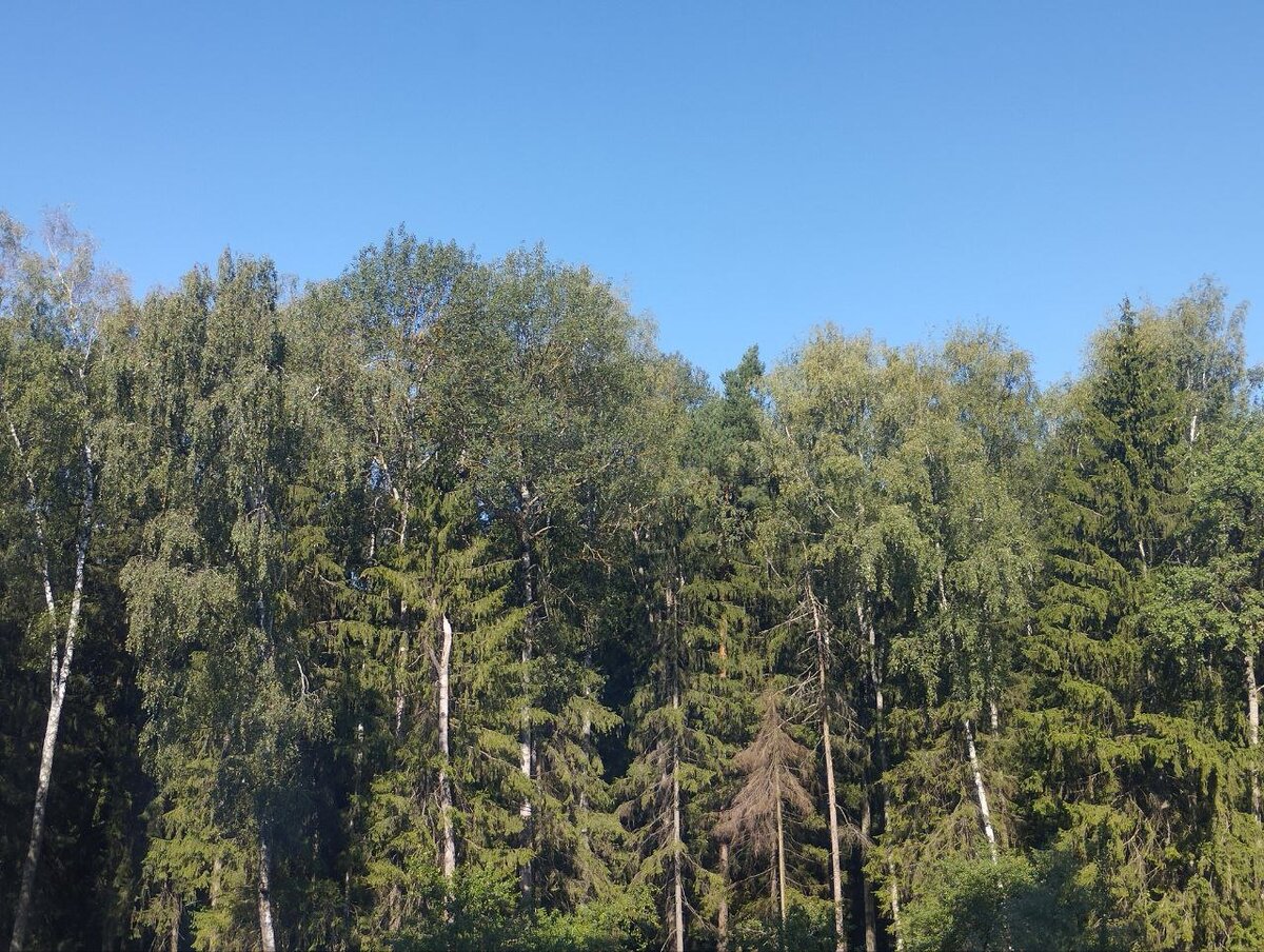 Мой вид из окна сегодня)