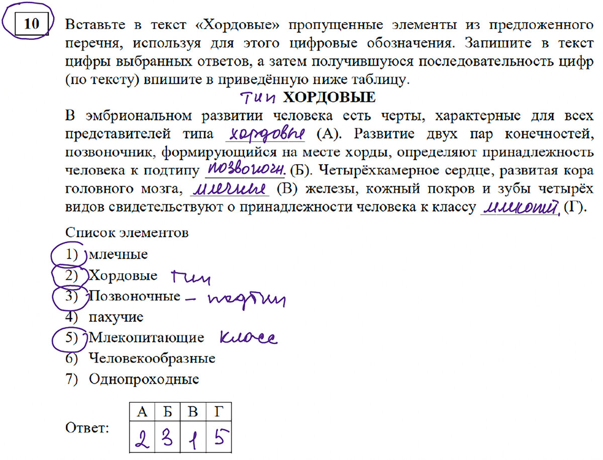 Погружение в ОГЭ по Биологии - самый лучший курс системного анализа  реальных заданий ОГЭ 2024! Приходи ко мне учиться! | Репетитор-профессионал  Богунова В.Г. | Дзен